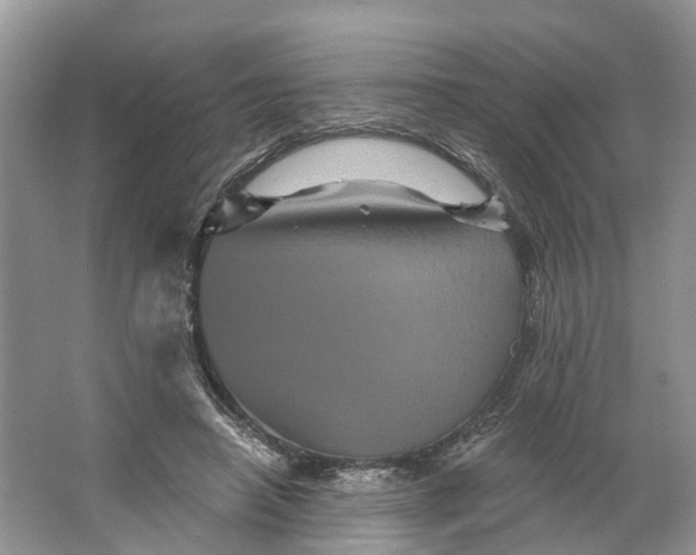 X0000066120450200603241614