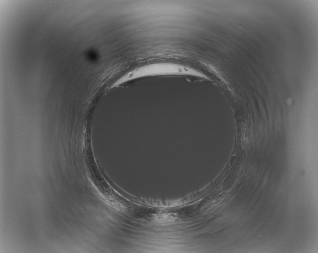 X0000066120451200603241614