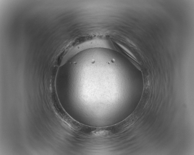 X0000066120452200603241614