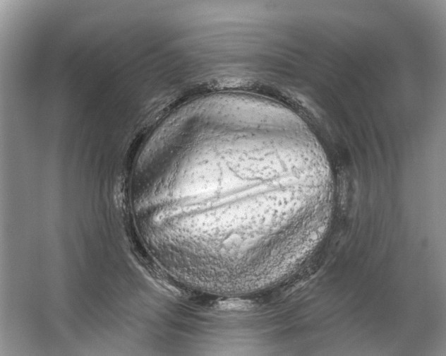 X0000066120455200603241614