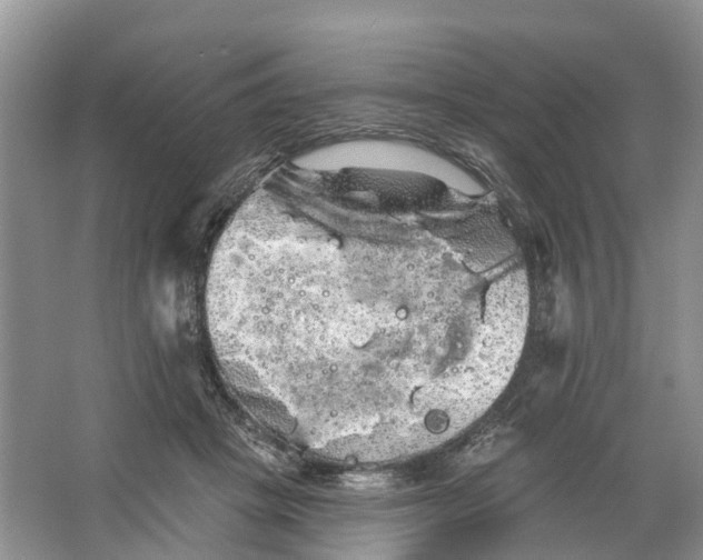 X0000066120457200603241614