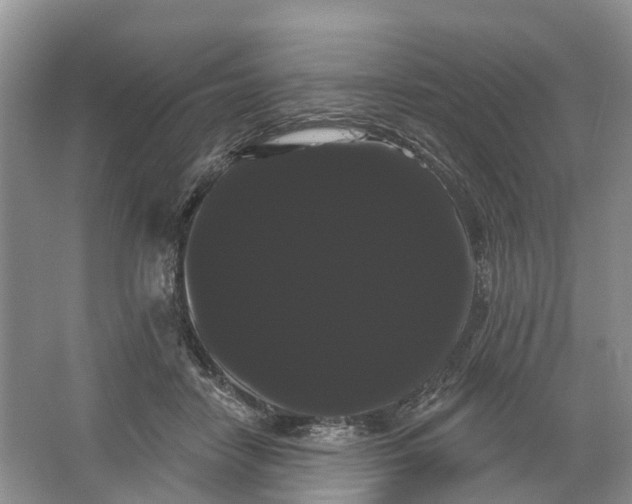 X0000066120458200603241614