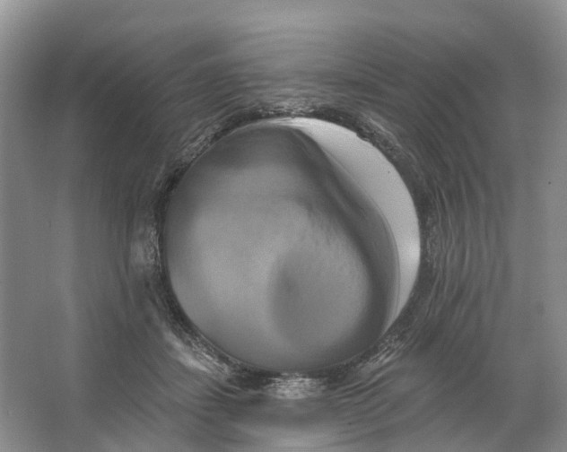 X0000066120459200603241614