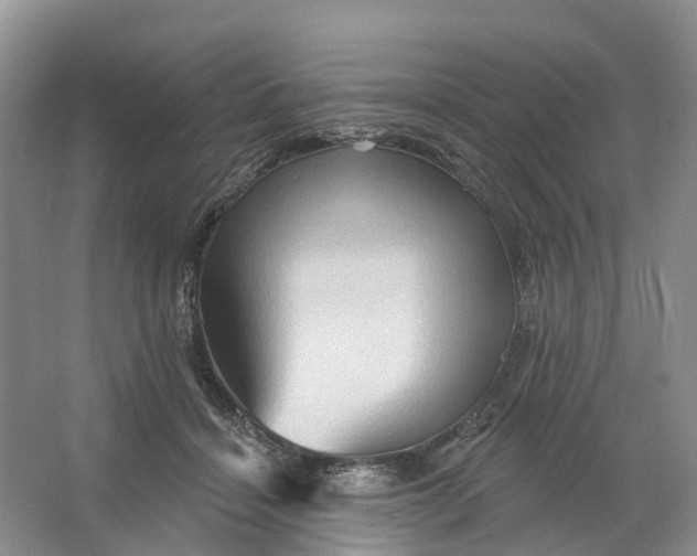 X0000066120460200603241614