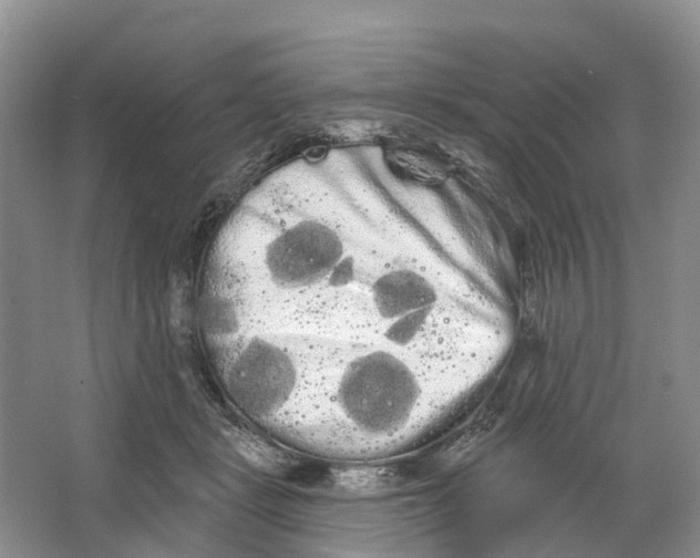 X0000066120461200603241614