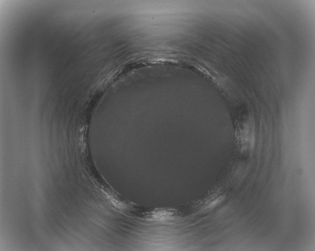 X0000066120462200603241614