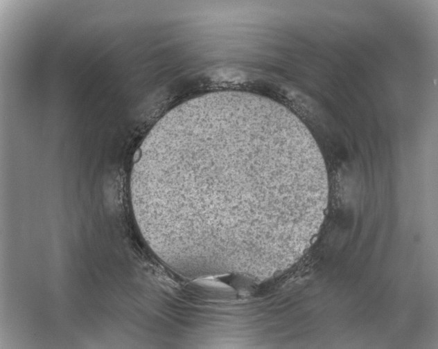 X0000066120463200603241615