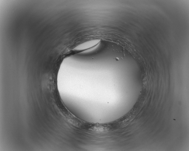 X0000066120464200603241615