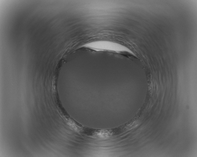 X0000066120466200603241615