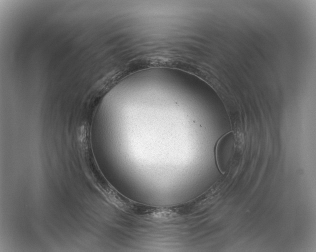 X0000066120468200603241615