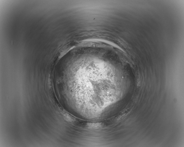 X0000066120469200603241615