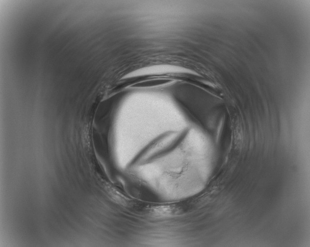 X0000066120473200603241615