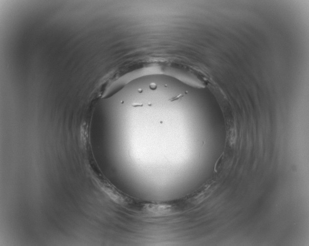 X0000066120476200603241615