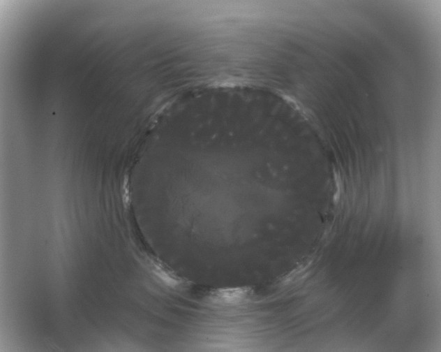 X0000066120479200603241615