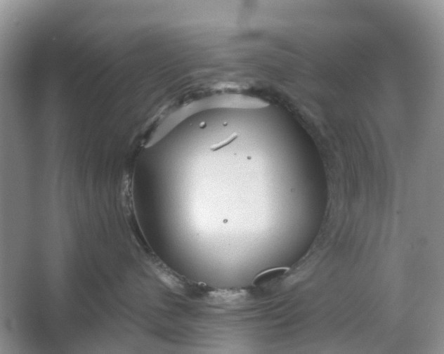 X0000066120480200603241615