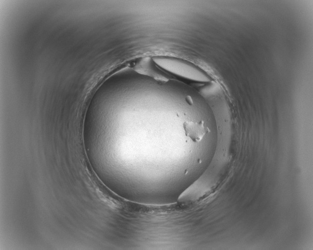 X0000066120481200603241614