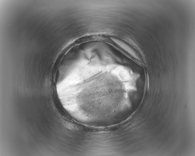 X0000066120483200603241614