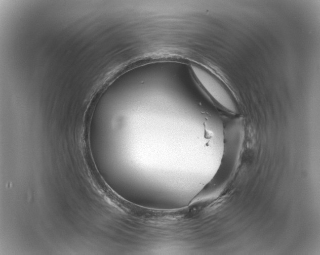 X0000066120485200603241614