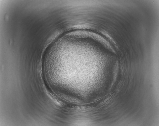 X0000066120486200603241614