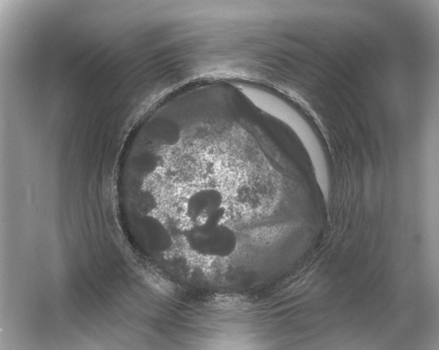 X0000066120487200603241614