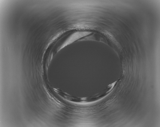 X0000066120488200603241614