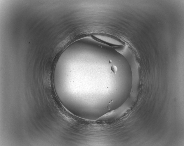 X0000066120489200603241614