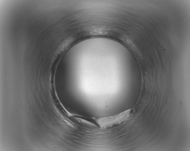 X0000066120490200603241614