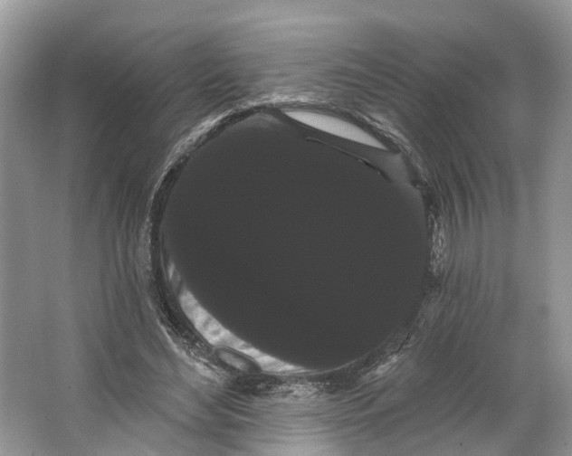 X0000066120492200603241614