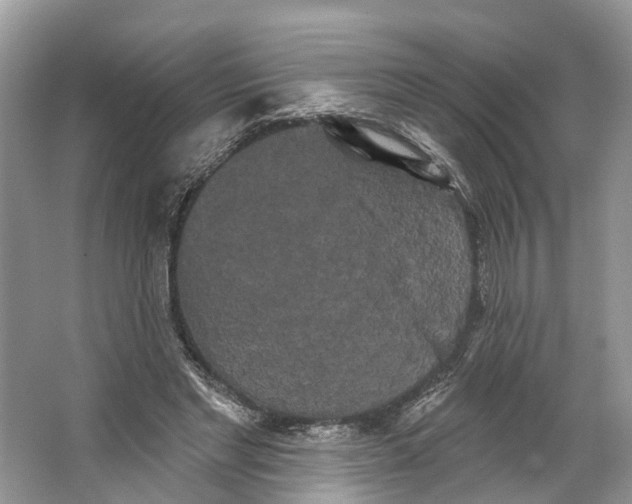 X0000066120493200603241614