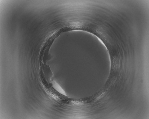 X0000066120494200603241614