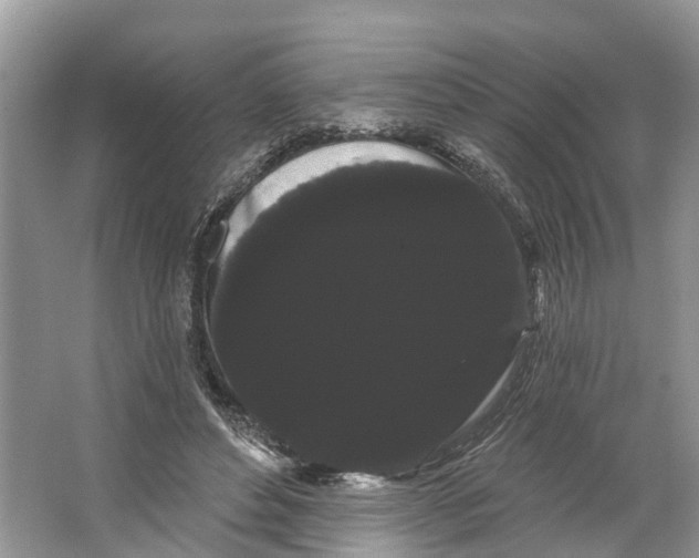 X0000066120496200603241614