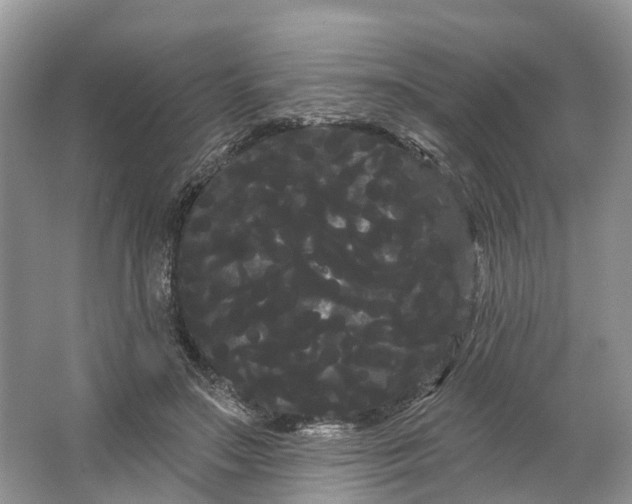 X0000066120499200603241614