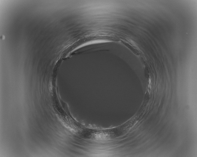 X0000066120500200603241614