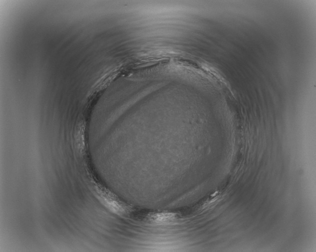 X0000066120501200603241614