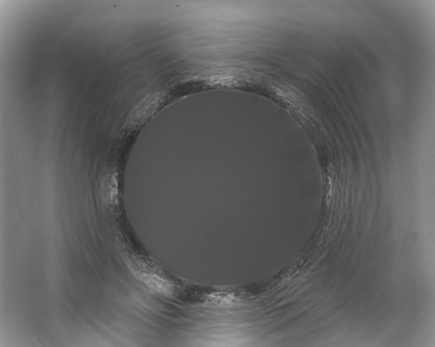 X0000066120502200603241614