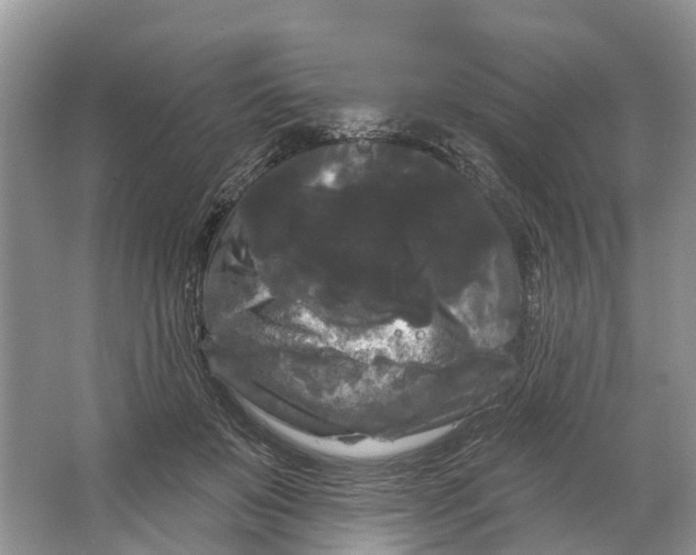 X0000066120503200603241614