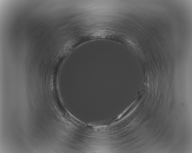 X0000066120504200603241614