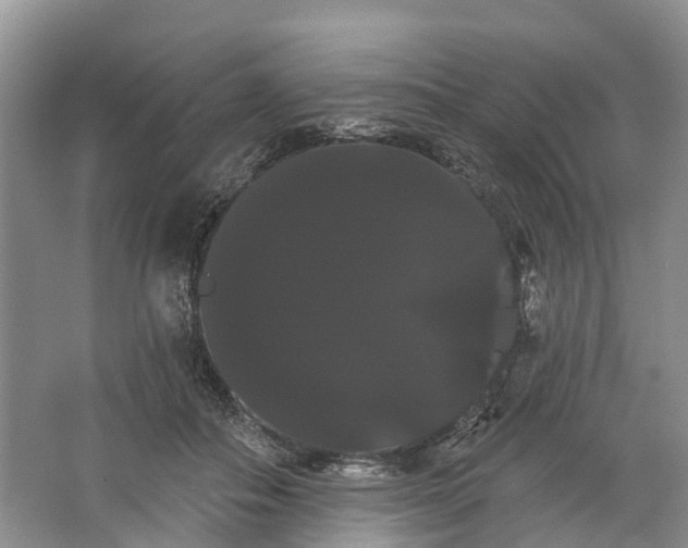 X0000066120506200603241614