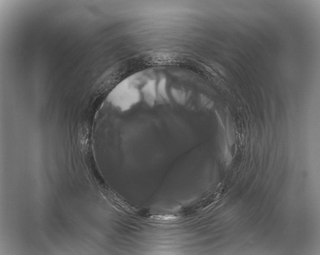 X0000066120507200603241614