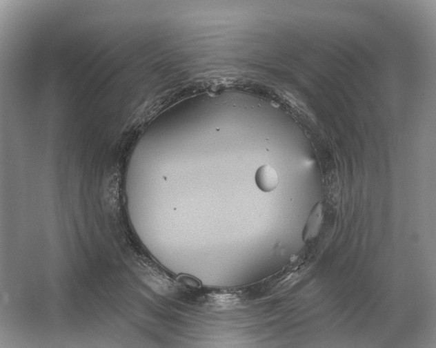 X0000066120509200603241613