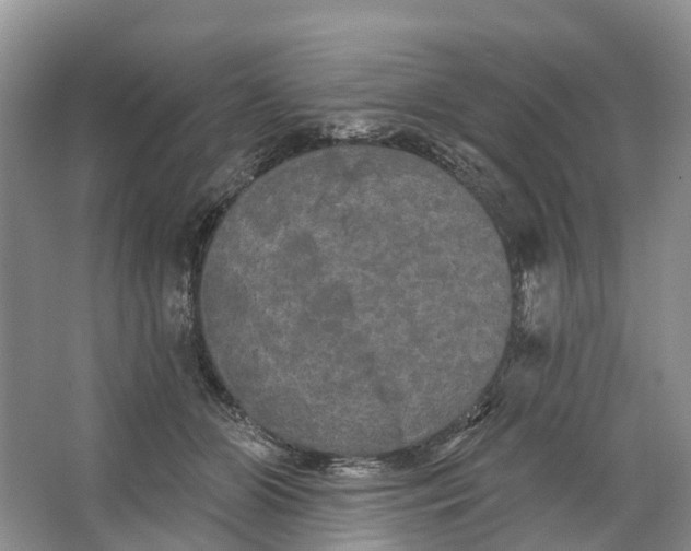 X0000066120510200603241613