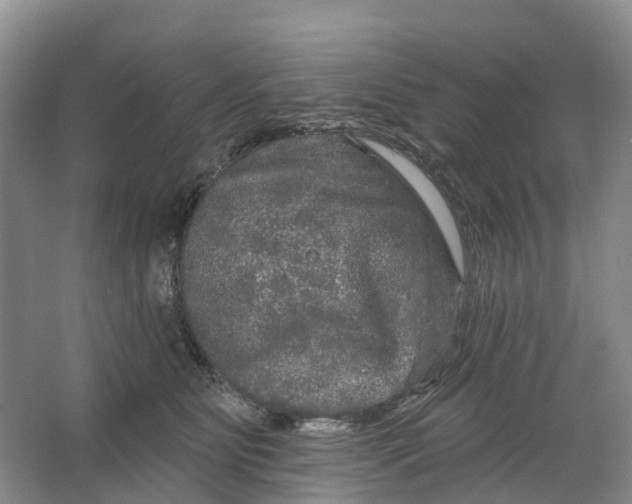 X0000066120515200603241613