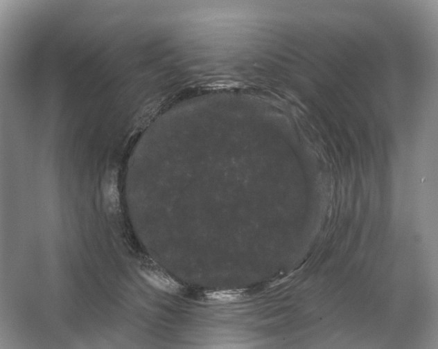 X0000066120516200603241613