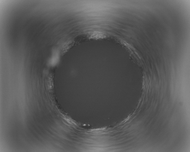 X0000066120517200603241613