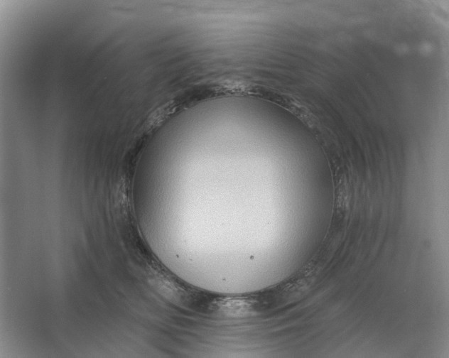 X0000066120518200603241613