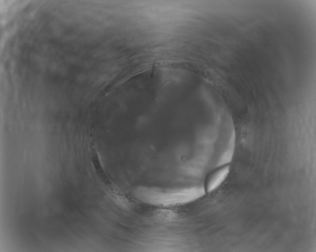 X0000066120519200603241613