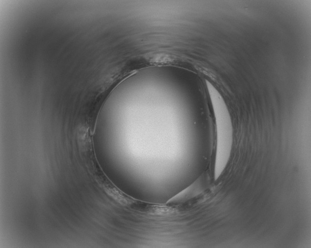 X0000066120521200603241613