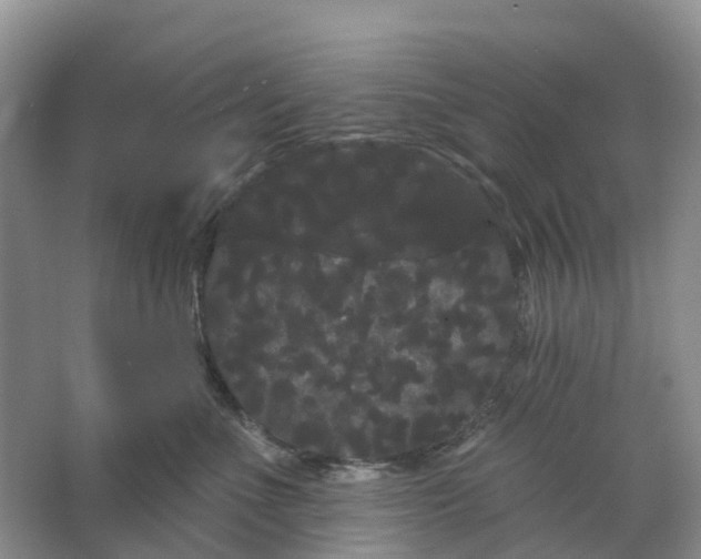 X0000066120523200603241613