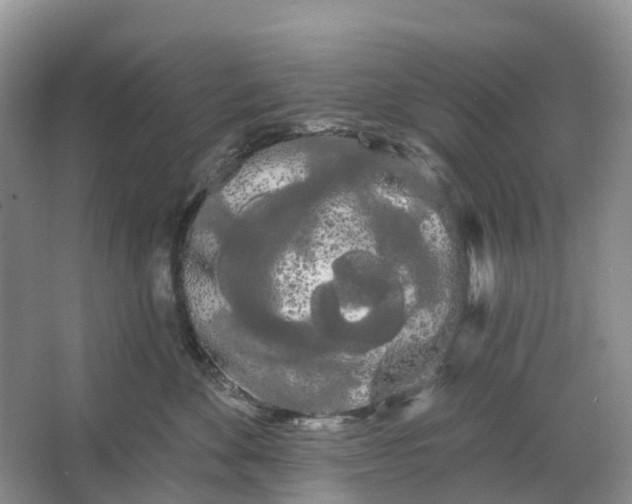 X0000066120524200603241613