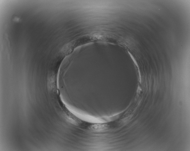 X0000066120526200603241613